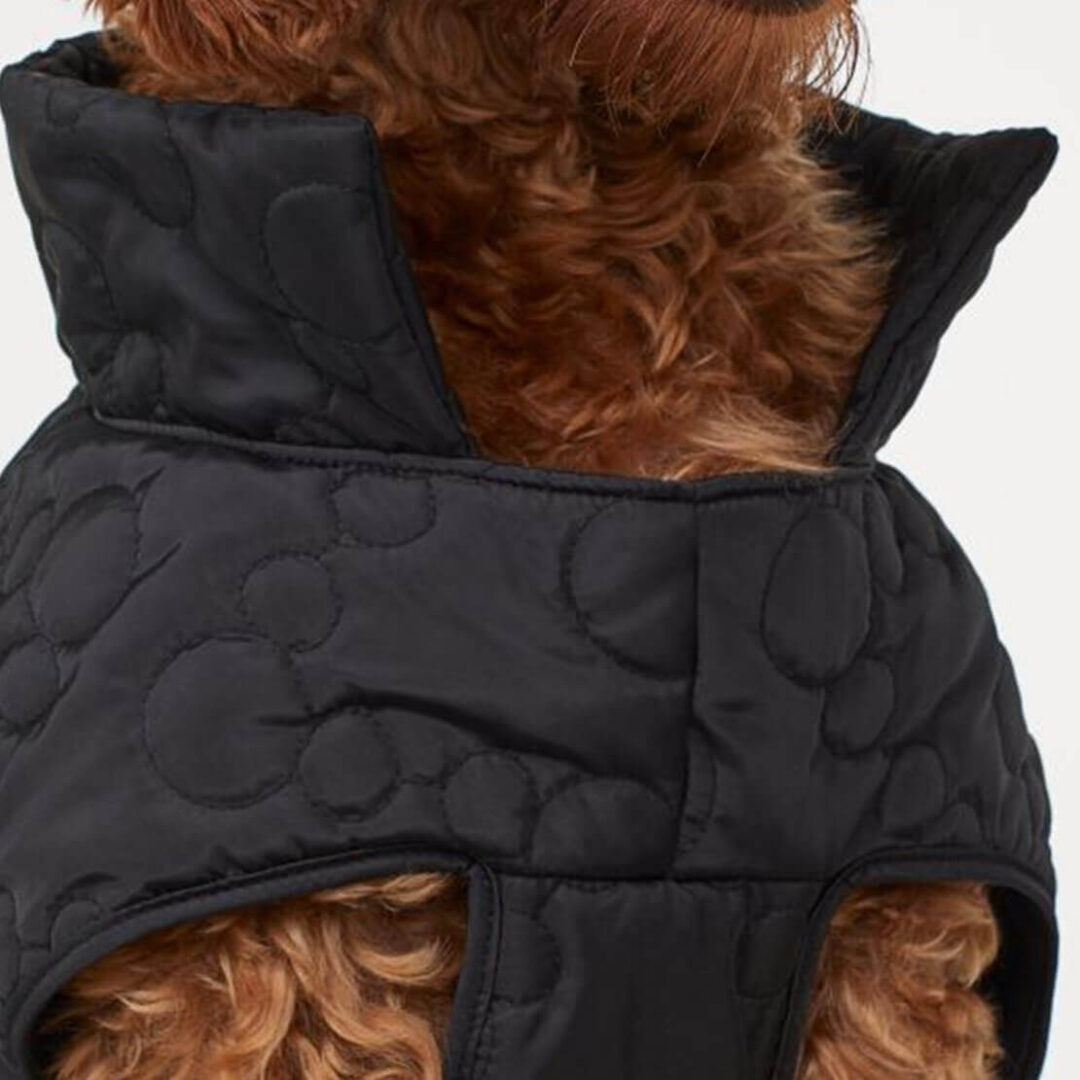 Dog Jacket - Image 2