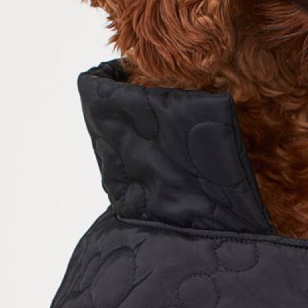 Dog Jacket - Image 3